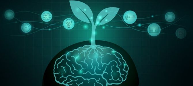 7 Growth-Mindset Principles