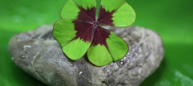 The Secret of Entrepreneurial ‘Luck’ in 3 Simple Steps The Secret of Entrepreneurial ‘Luck’ in 3 Simple Steps